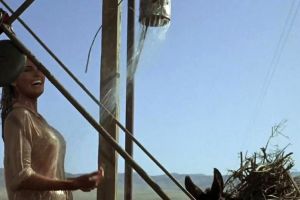 Wet And Nipply Raquel Welch Plot From 100 Rifles